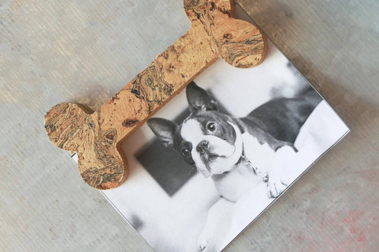 LIGA Cork Magnet Bone 3 LIGA Cork Magnet Bone