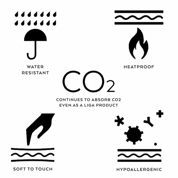 LIGA Cork Placemats | Dandelion 3 LIGA Cork Placemats | Dandelion