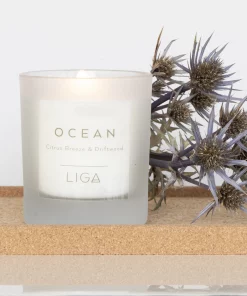 LIGA Citrus Breeze and Driftwood Ocean Candle in Glass Votive