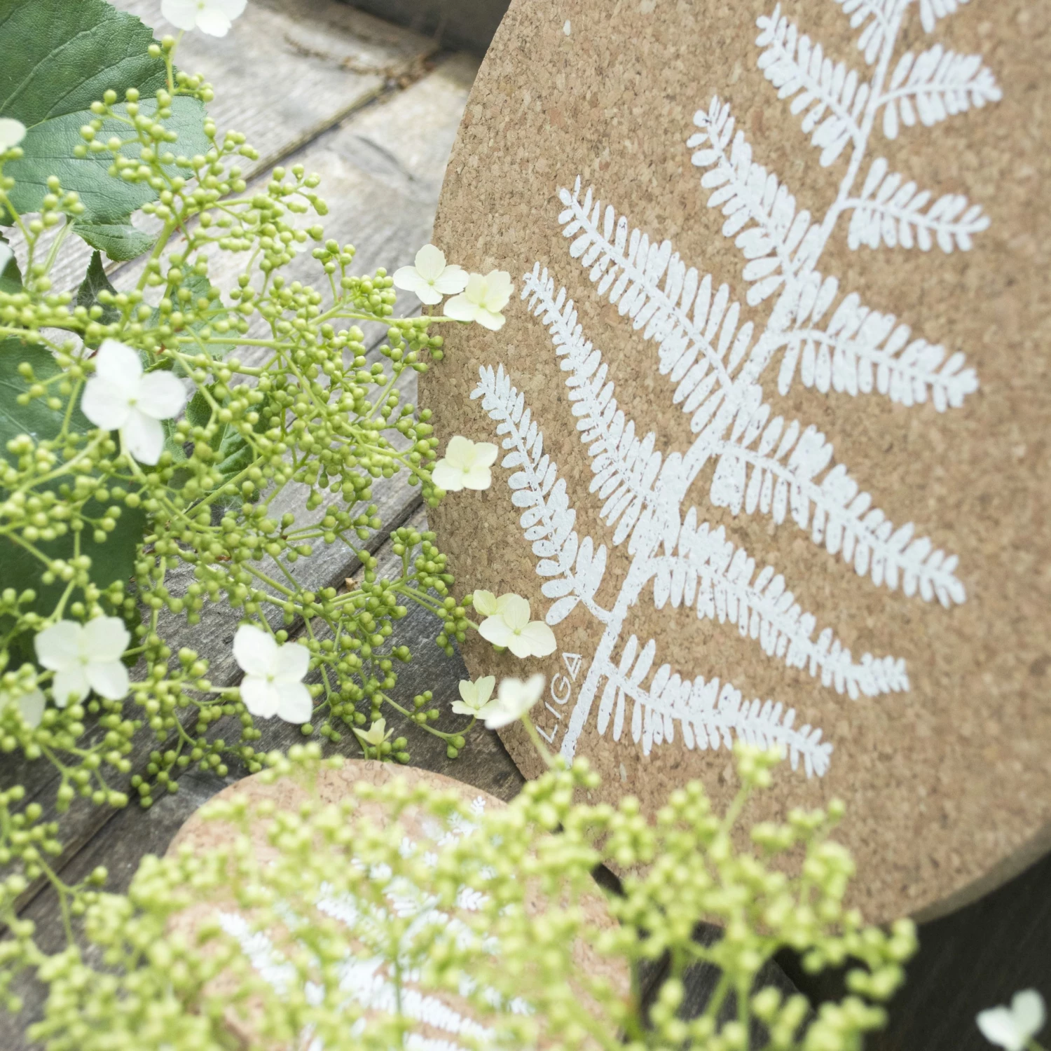 LIGA Cork Coaster Fern Set 5 LIGA Cork Coaster Fern Set