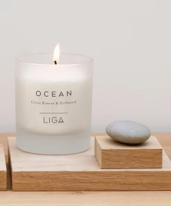 LIGA Citrus Breeze and Driftwood Ocean Candle in Glass Votive