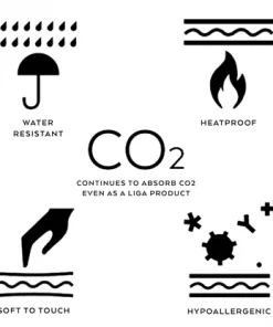 LIGA Wildflower Cork Placemat